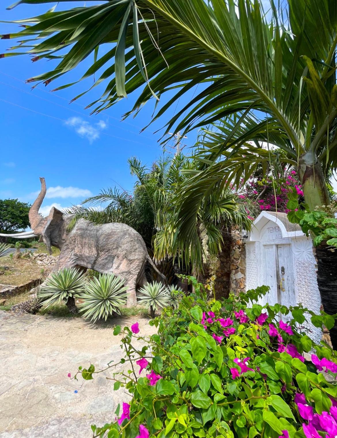 Tembo Village 瓦塔穆 外观 照片