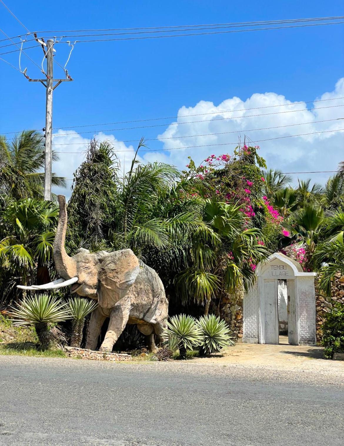 Tembo Village 瓦塔穆 外观 照片