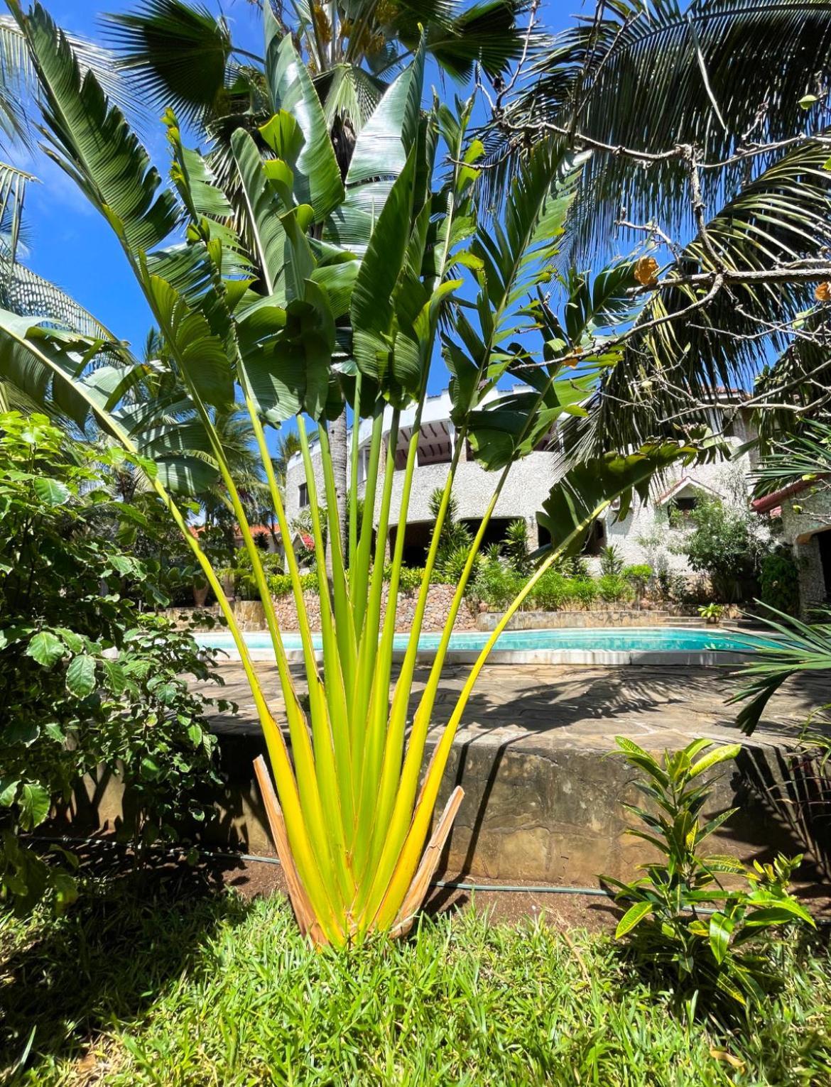 Tembo Village 瓦塔穆 外观 照片